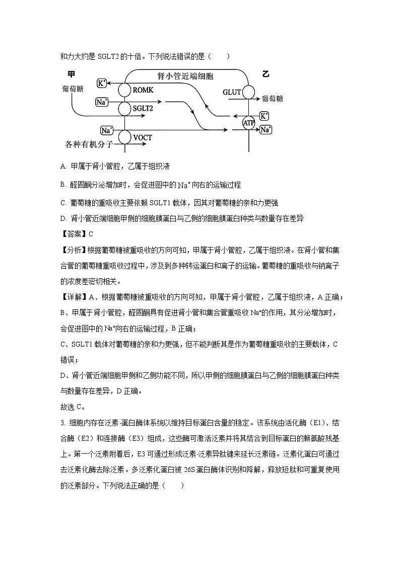 山东名校2025届高三下4月校际联合检测生物试卷（解析版）第2页
