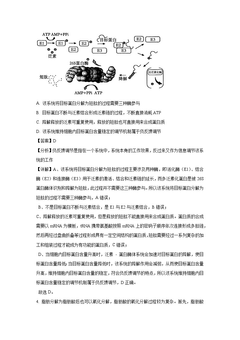 山东名校2025届高三下4月校际联合检测生物试卷（解析版）第3页