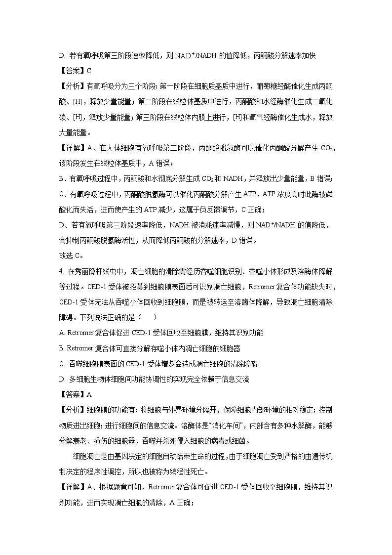 山东省菏泽市2025届高三下5月二模生物试卷（解析版）第3页