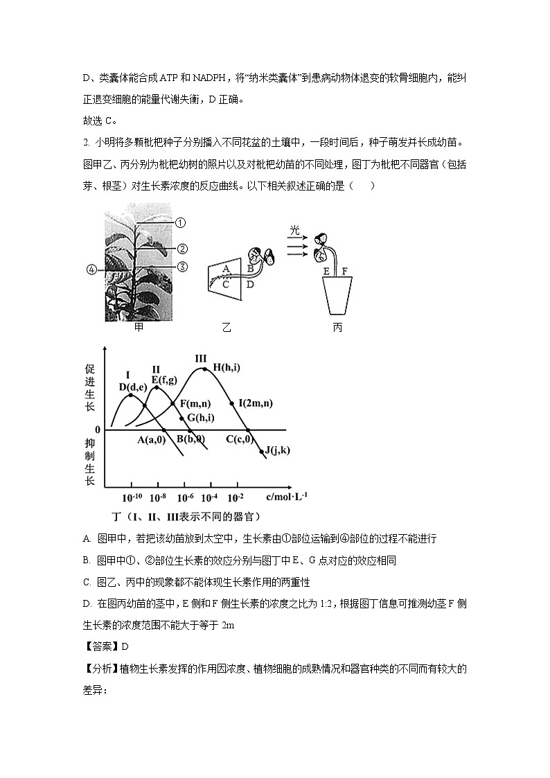 【生物】2025届湖北省普通高中学业水平选择性考试高考模拟预测（解析版）第2页