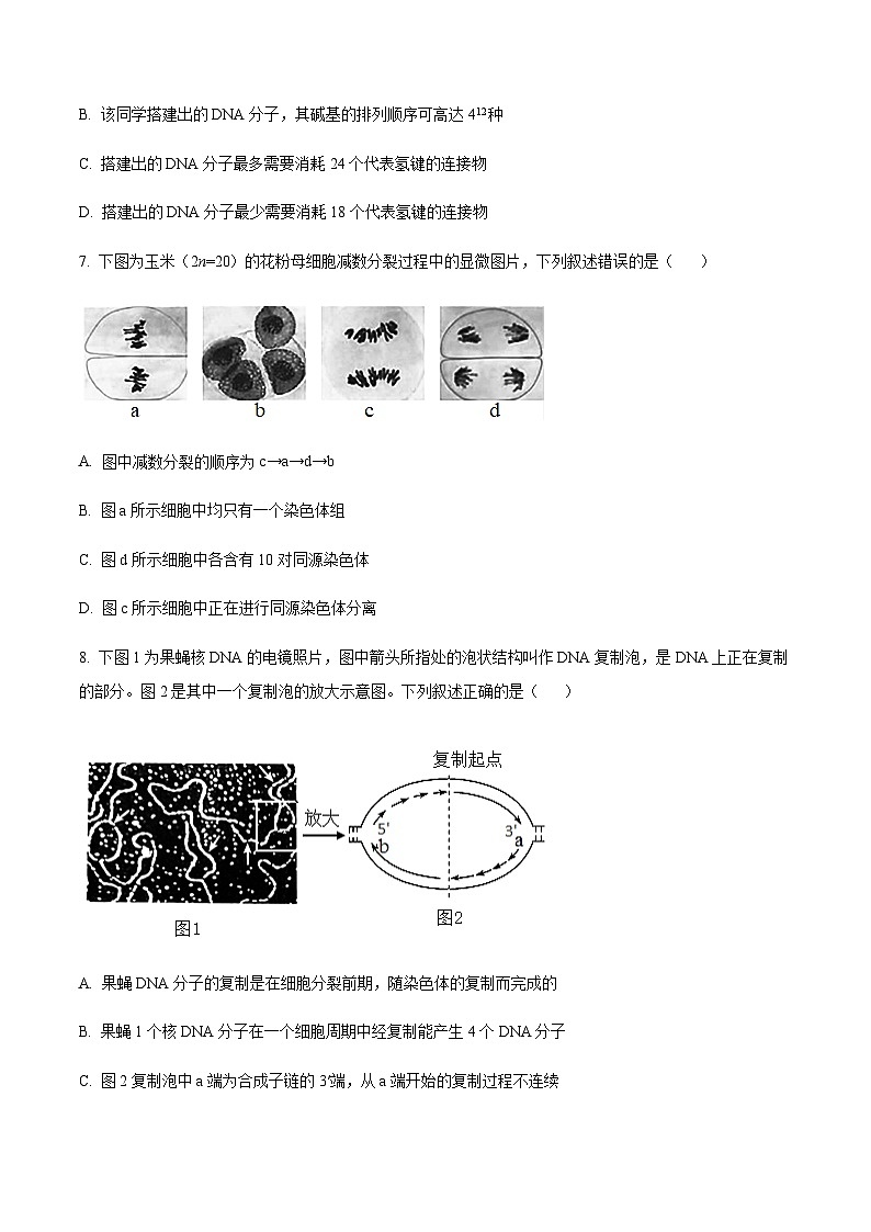 福建省福州第一中学2024-2025学年高一下学期7月期末考试生物试题（含答案）第3页