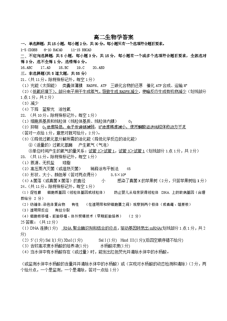 辽宁省丹东市2024-2025学年高二下学期期末教学质量监测生物答案第1页