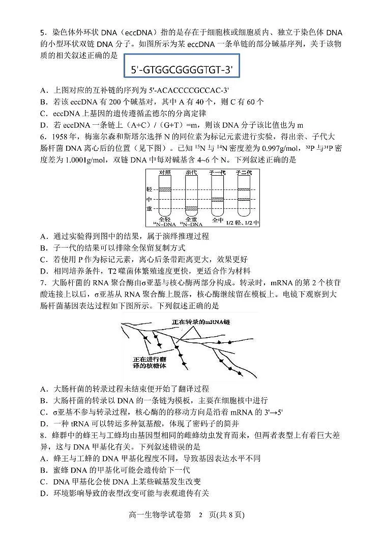 辽宁省丹东市2024-2025学年高一下学期期末教学质量监测生物试卷第2页