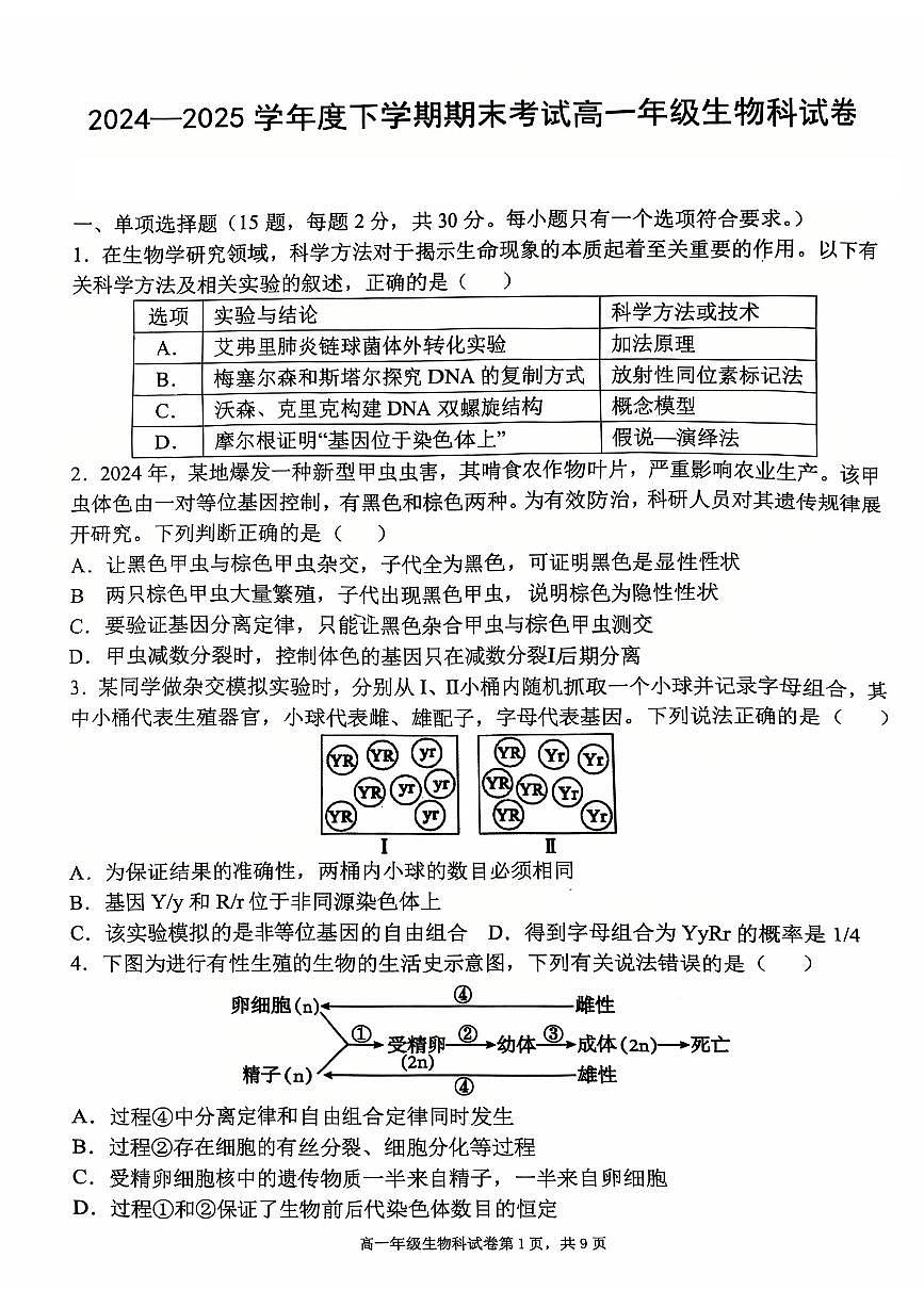 辽宁省五校联考2024-2025学年高一下学期7月期末考试生物试题（PDF版、含答案）第1页