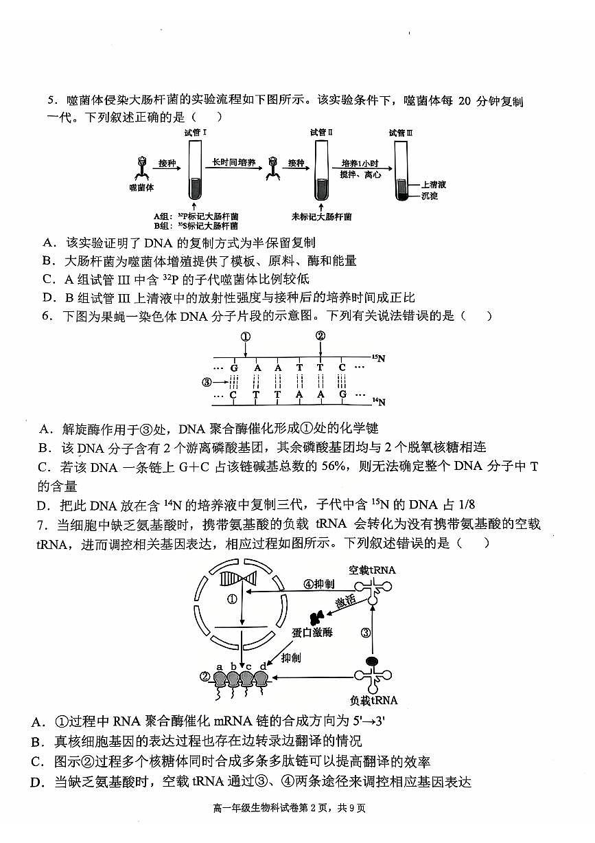 辽宁省五校联考2024-2025学年高一下学期7月期末考试生物试题（PDF版、含答案）第2页