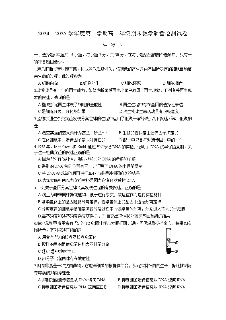 内蒙古包头市2024-2025学年高一下学期期末生物试卷第1页