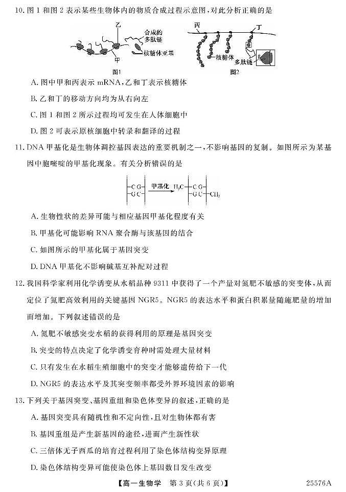 青海省海南藏族自治州高级中学2024-2025学年高一下学期期末考试生物试卷第3页