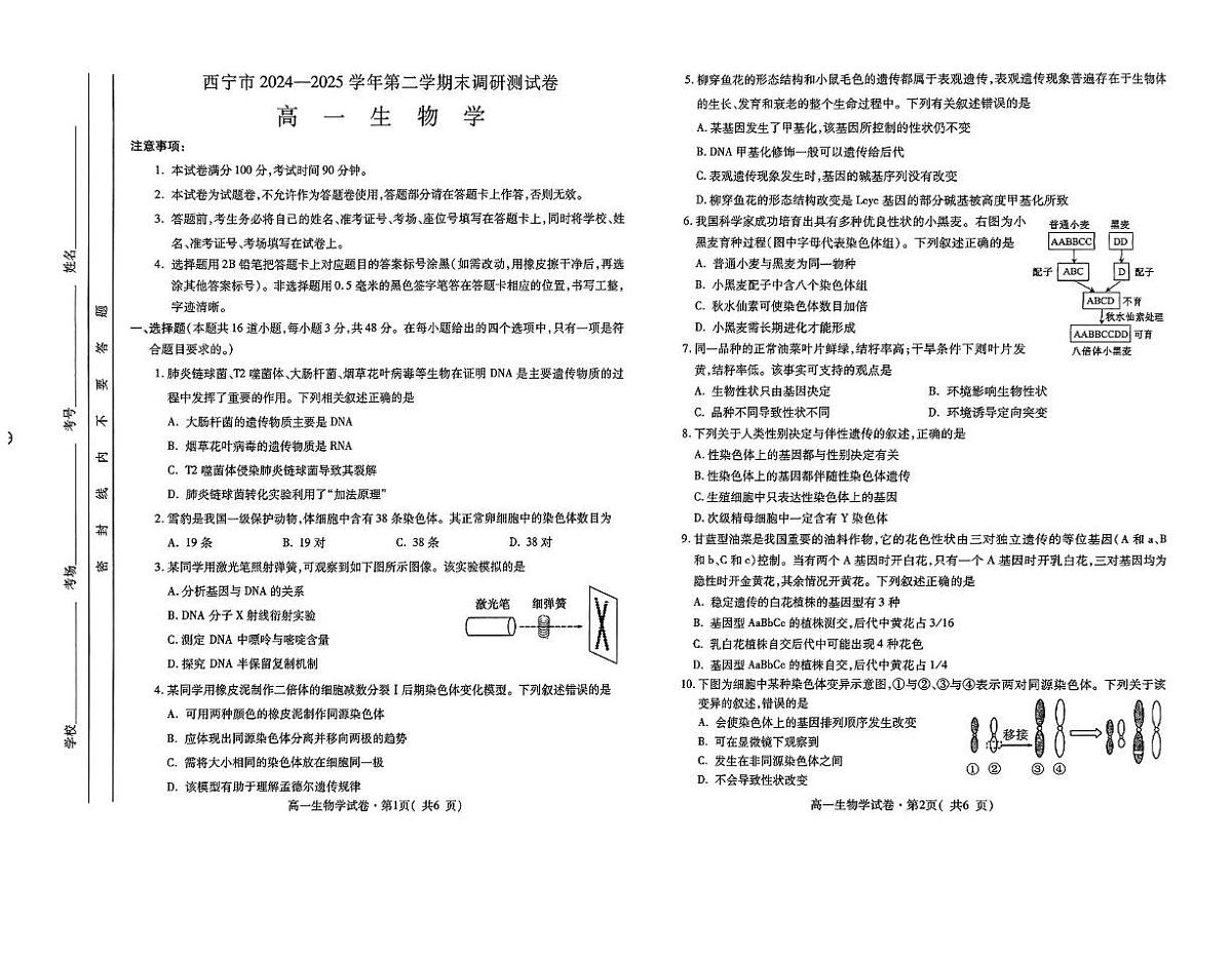青海省西宁市2024-2025学年高一下学期期末调研测试生物试卷（扫描版，有答案）第1页