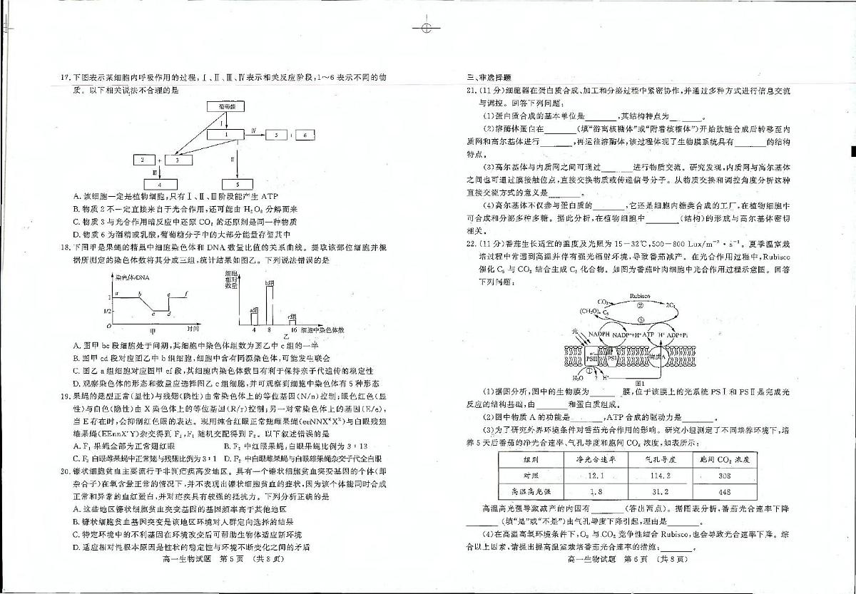 山东省济南市2024-2025学年高一下学期期末考试 生物 PDF版含答案第3页