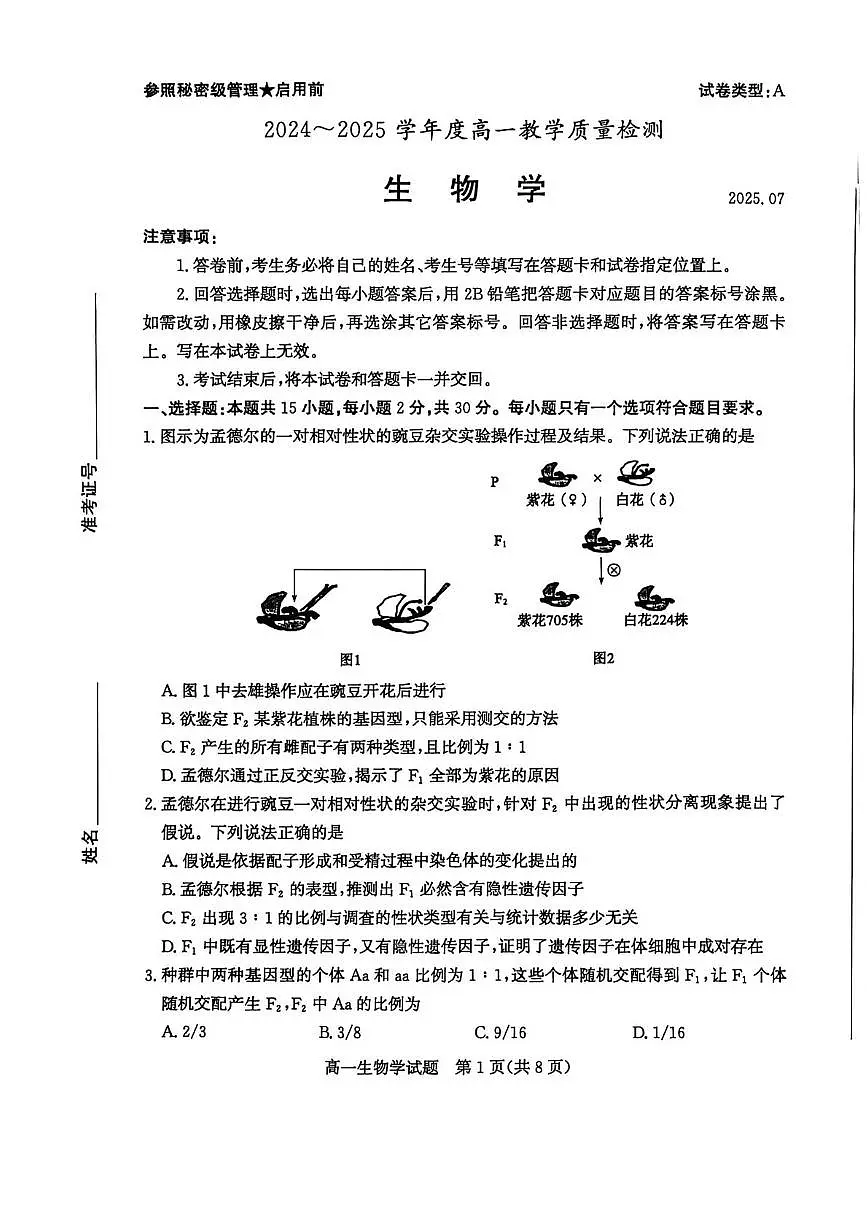 山东省枣庄市2024-2025学年高一下学期期末考试 生物 PDF版含答案第1页