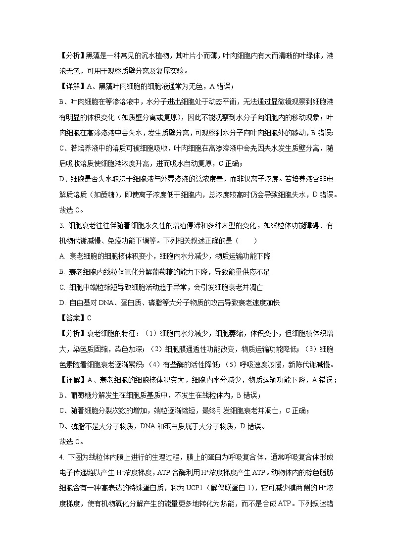 河南省部分学校2025届高三下三模生物试卷（解析版）第2页