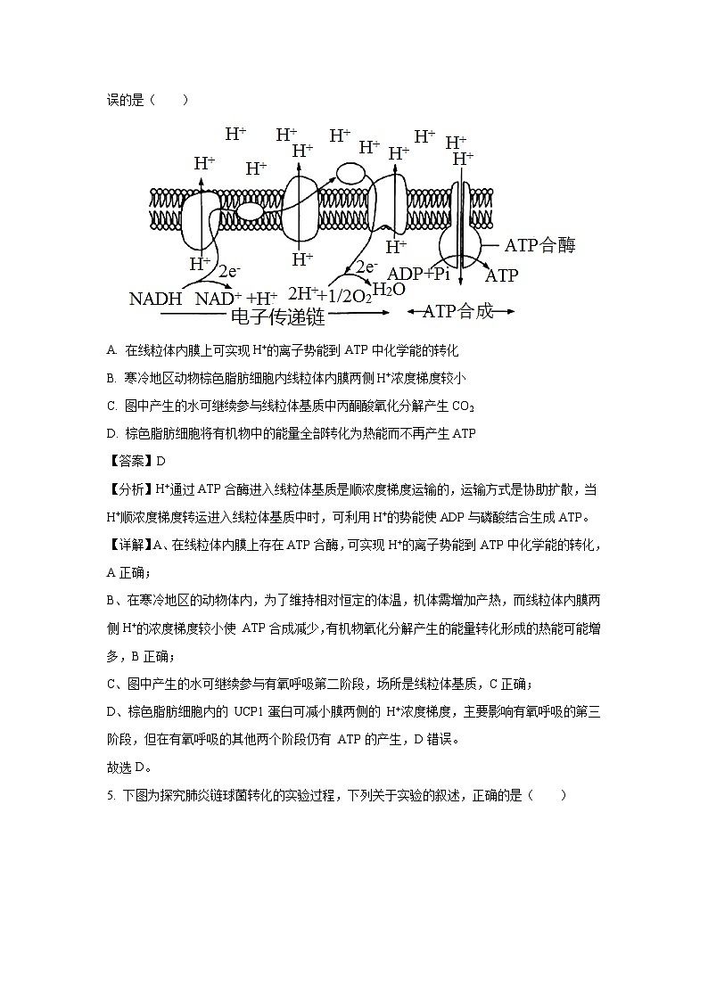 河南省部分学校2025届高三下三模生物试卷（解析版）第3页