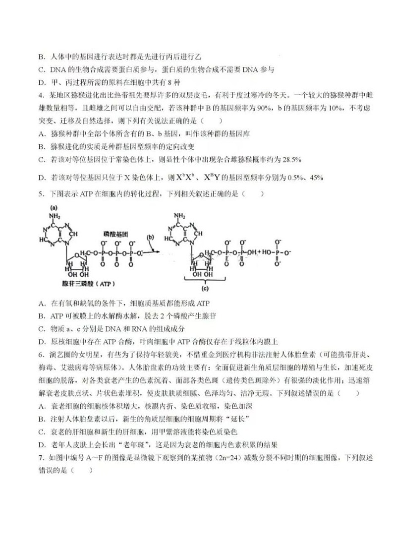 2025届湖南省天壹名校联盟高三上学期8月开学考-生物试卷（含答案）第2页