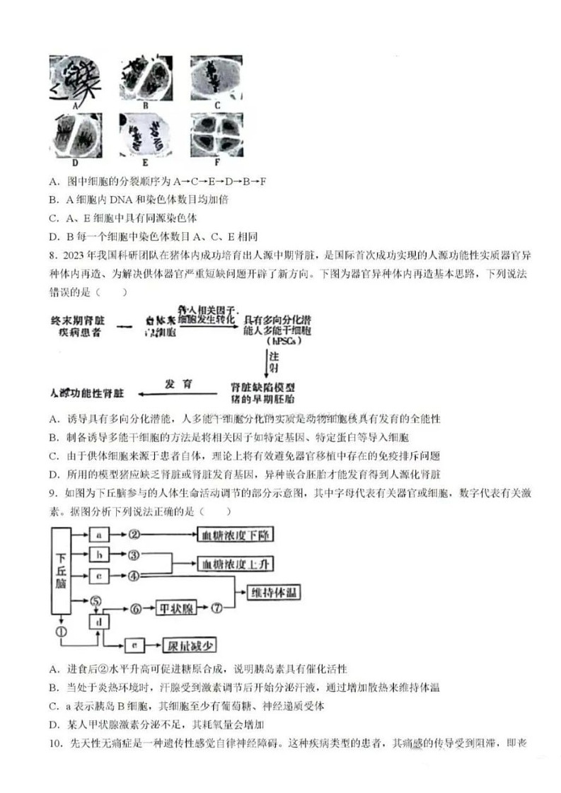 2025届湖南省天壹名校联盟高三上学期8月开学考-生物试卷（含答案）第3页