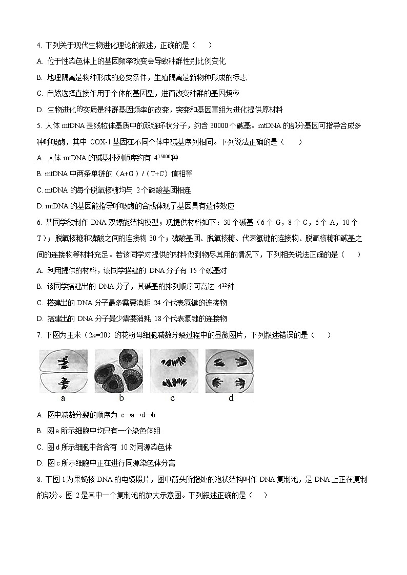 福建省福州第一中学2024-2025学年高一下学期期末考试生物试卷第2页