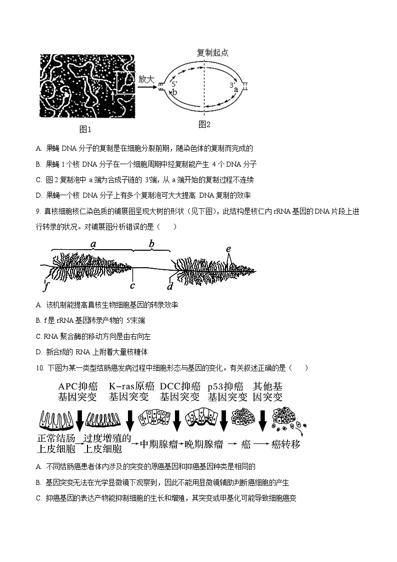 福建省福州第一中学2024-2025学年高一下学期期末考试生物试卷第3页