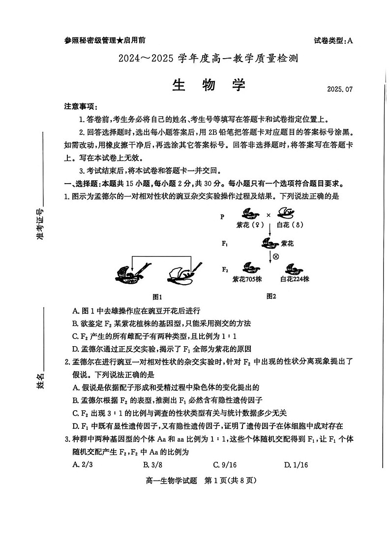 山东省枣庄市2024-2025学年高一下学期期末考试 生物试卷第1页