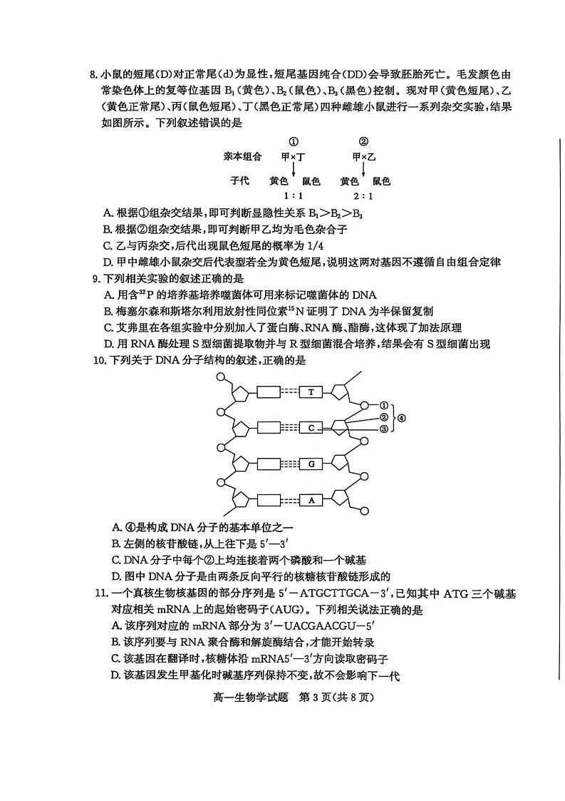 山东省枣庄市2024-2025学年高一下学期期末考试 生物试卷第3页