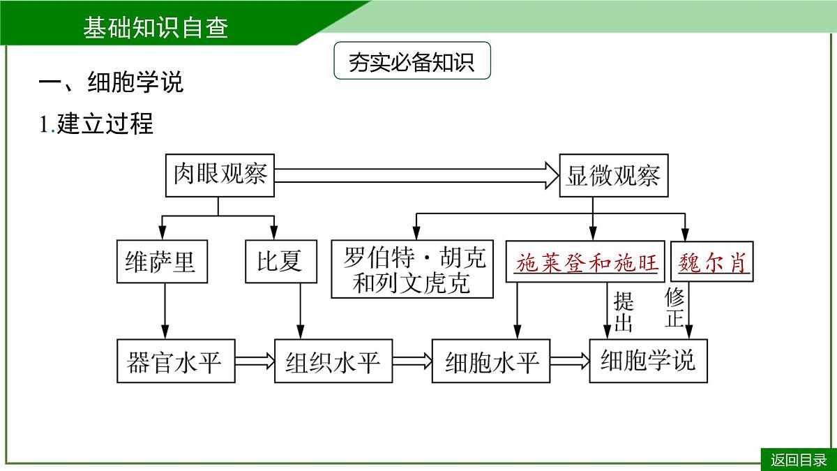 2026届高考生物一轮专题复习：专题1 第1讲 走近细胞 课件第6页