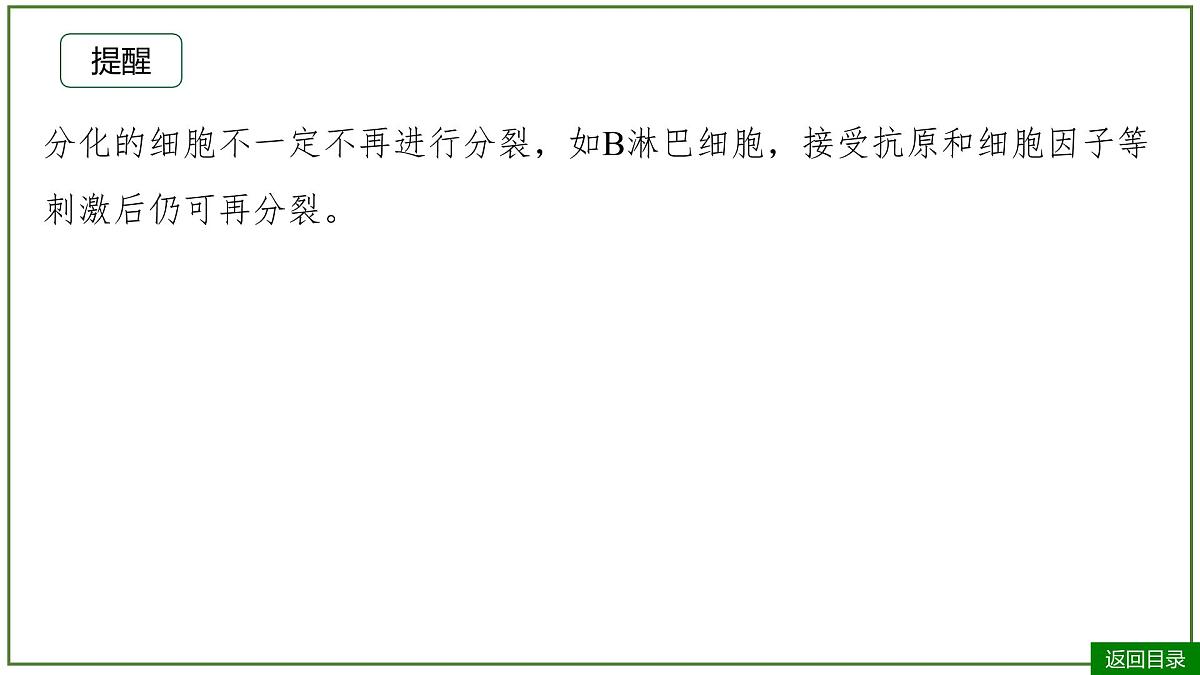 2026届高考生物一轮专题复习：专题4 第3讲 细胞的分化、衰老和死亡 课件第8页