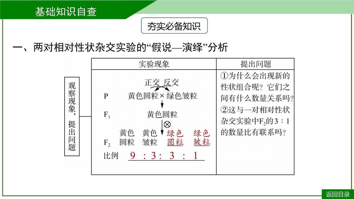 2026届高考生物一轮专题复习：专题5 第2讲 基因的自由组合定律 课件第7页