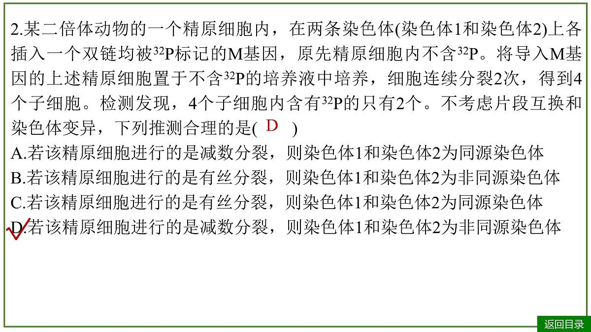 2026届高考生物一轮专题复习：专题6 微专题5 DNA复制与细胞分裂中染色体标记问题 课件第6页