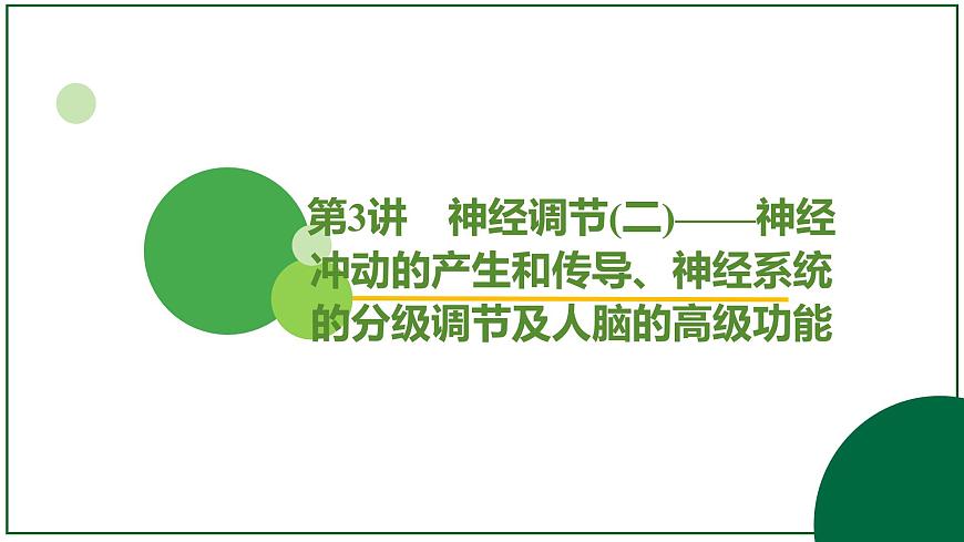 2026届高考生物一轮专题复习：专题8 第3讲 神经调节(二)——神经冲动的产生和 课件第2页