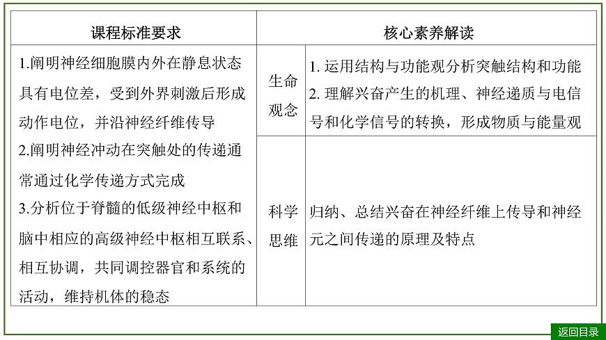 2026届高考生物一轮专题复习：专题8 第3讲 神经调节(二)——神经冲动的产生和 课件第3页
