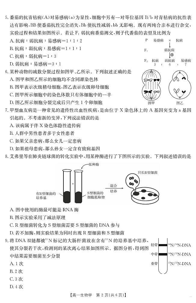 甘肃省武威第六中学2024-2025学年高一下学期期末诊断 生物学第2页