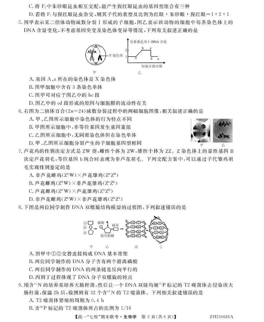 陕西省安康市汉滨区七校联考2024-2025学年高一下学期期末考试生物试题（PDF版附解析）第2页