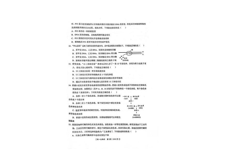 陕西省汉中市普通高中十校联盟2024-2025学年高一下学期期末考试生物试题（PDF版附答案）第3页