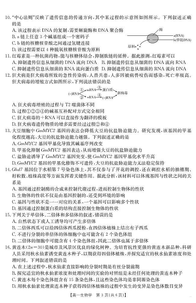 新疆2024-2025学年高一下学期7月联考试卷 生物学.pdf第3页