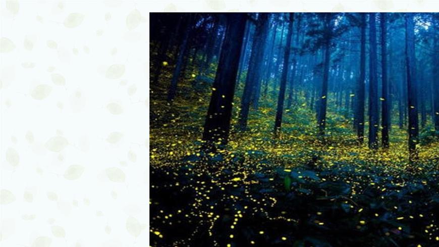 5.2 细胞的能量“货币”ATP 课件-2025-2026学年上学期高一生物（人教版）必修1第1页