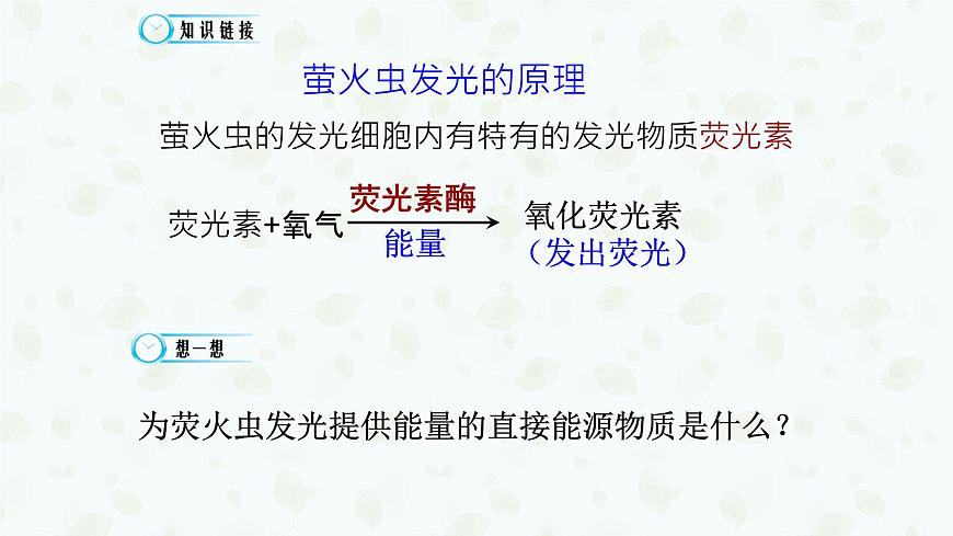 5.2 细胞的能量“货币”ATP 课件-2025-2026学年上学期高一生物（人教版）必修1第2页