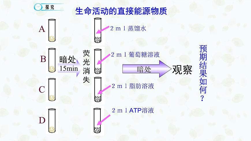 5.2 细胞的能量“货币”ATP 课件-2025-2026学年上学期高一生物（人教版）必修1第3页