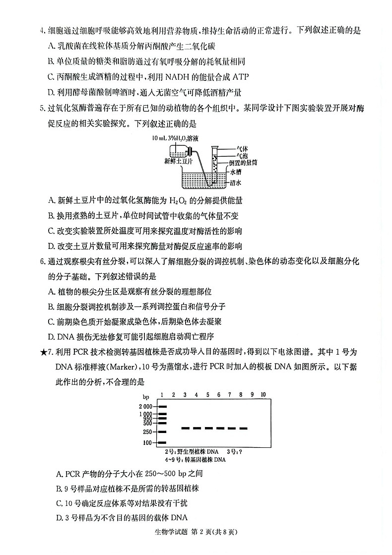 2025届湖南省炎德·英才名校联合体高三上学期开学考-生物试题（含答案）第2页