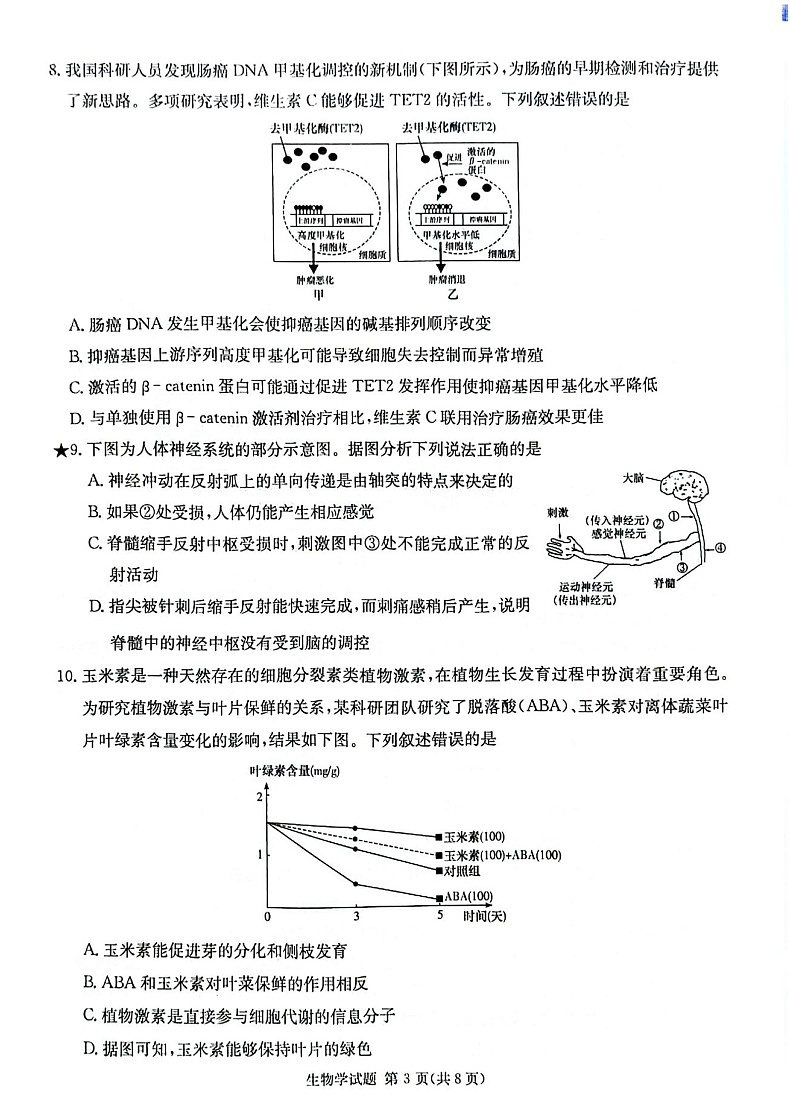 2025届湖南省炎德·英才名校联合体高三上学期开学考-生物试题（含答案）第3页