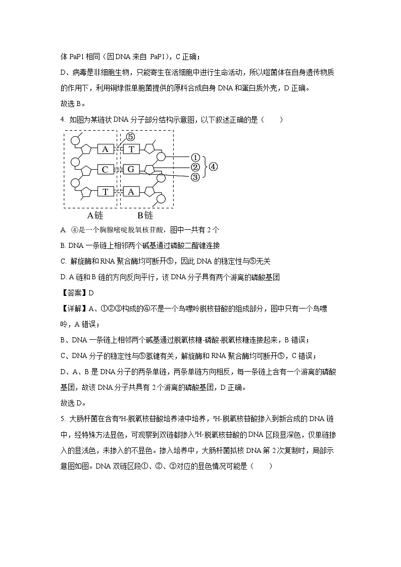 湖北省武汉市部分重点中学2024-2025学年高一下学期6月期末联考生物试卷（解析版）第3页