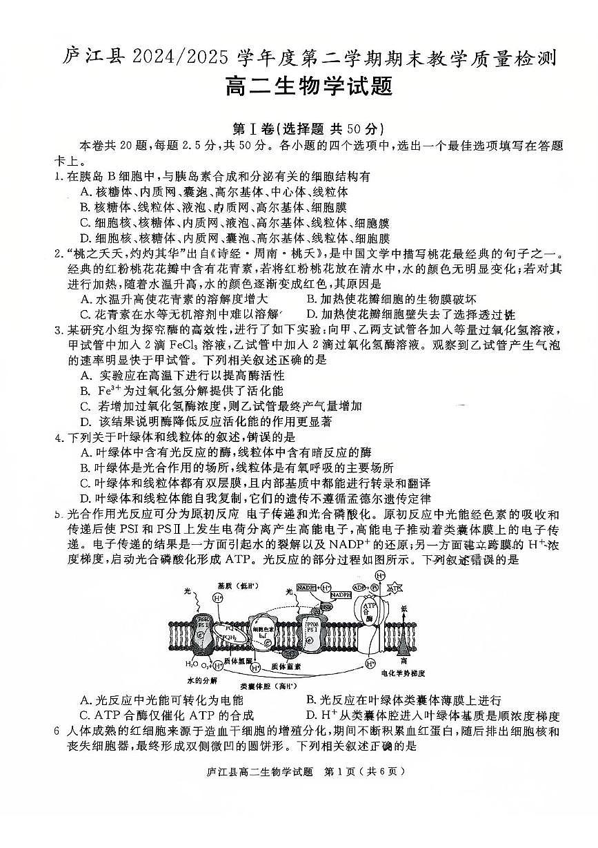 安徽省合肥市庐江县2025届新高二下学期7月期末考-生物试题+答案第1页