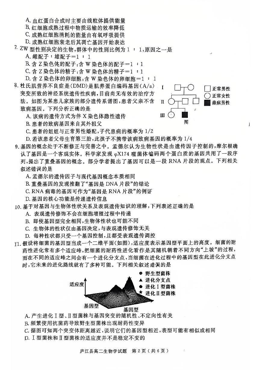 安徽省合肥市庐江县2025届新高二下学期7月期末考-生物试题+答案第2页