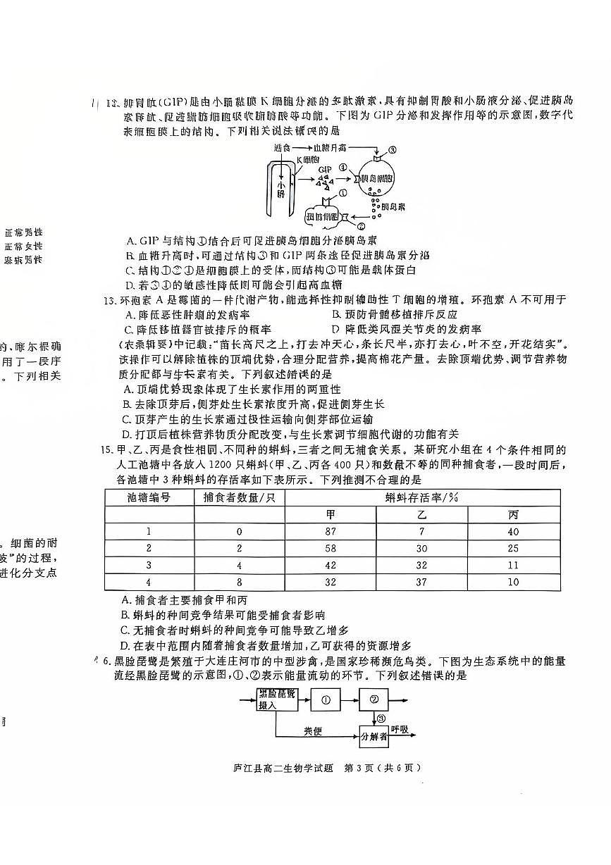 安徽省合肥市庐江县2025届新高二下学期7月期末考-生物试题+答案第3页