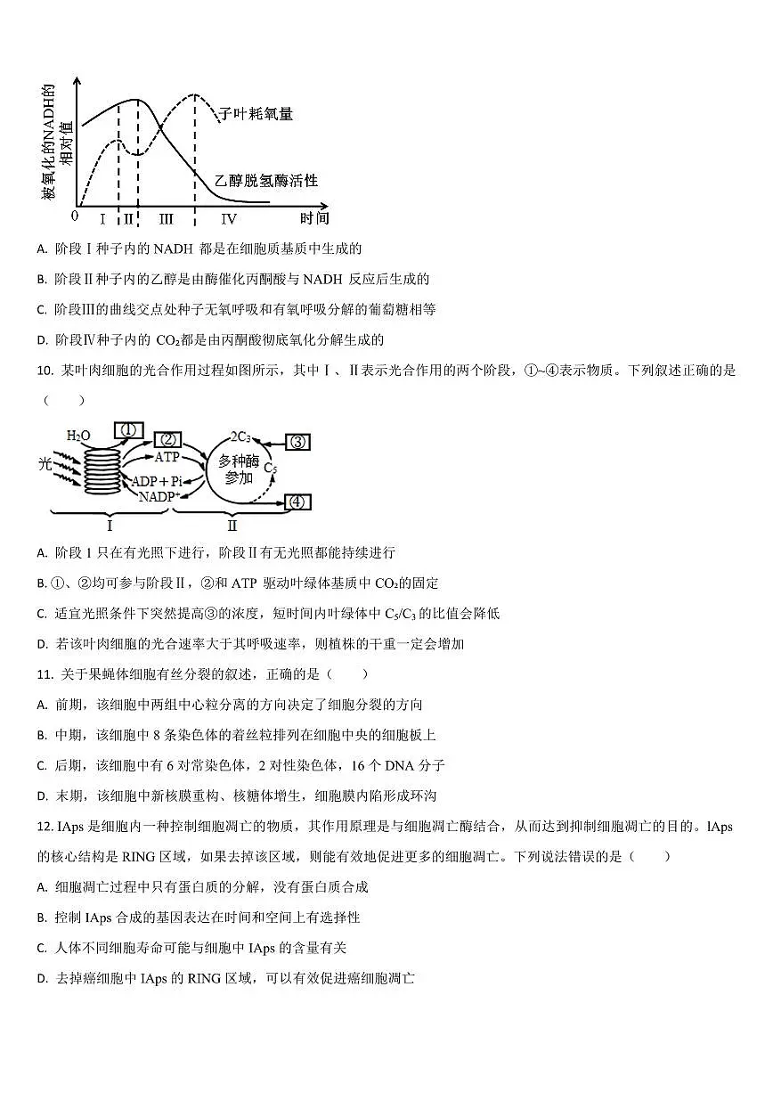 吉林省通化市梅河口五中2025届新高二下学期7月期末考-生物试题+答案第3页