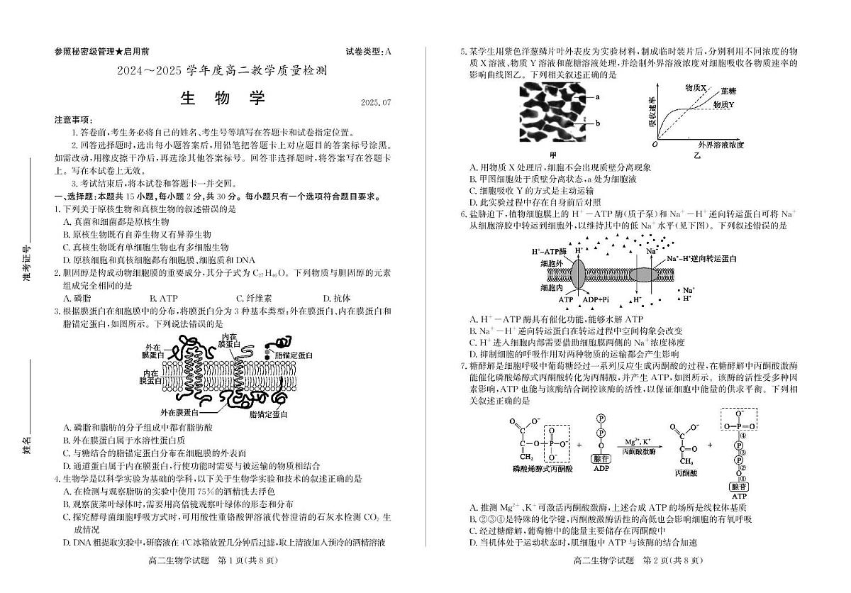 山东省枣庄2025届新高二下学期7月期末考-生物试题+答案第1页