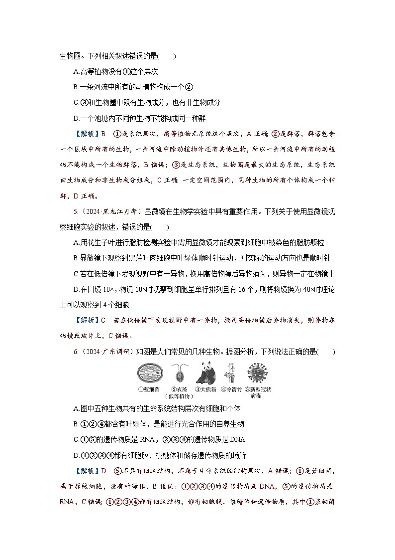 2026届高考生物学一轮专题复习练习：专题1 第1讲　走近细胞 习题及答案解析第2页