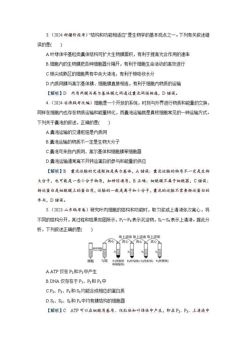 2026届高考生物学一轮专题复习练习：专题2 第2讲　细胞器和生物膜系统 习题及答案解析第2页