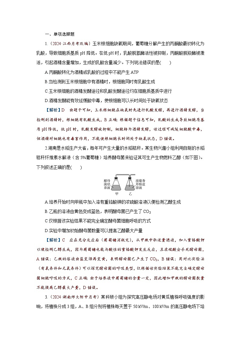 2026届高考生物学一轮专题复习练习：专题3 第2讲　细胞呼吸 习题及答案解析第1页
