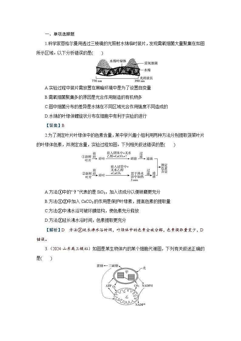 2026届高考生物学一轮专题复习练习：专题3 第3讲　捕获光能的色素和结构、光合作用的原理 习题及答案解析第1页