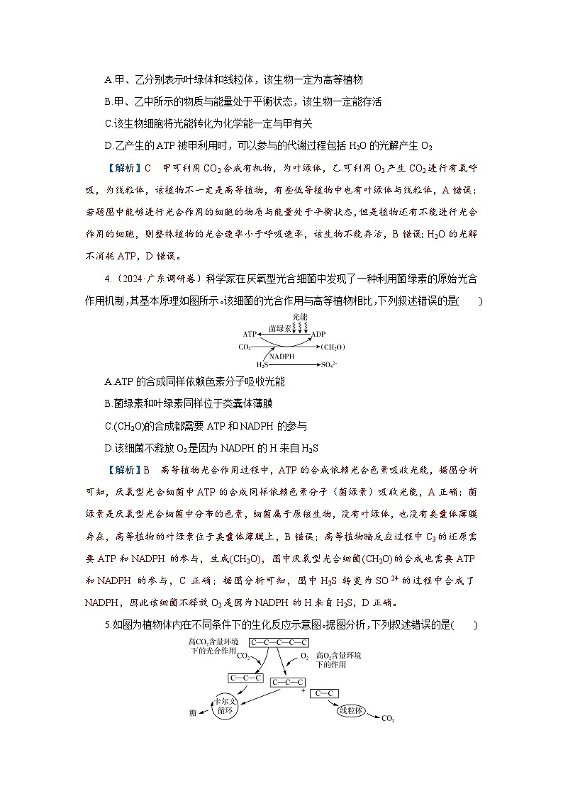 2026届高考生物学一轮专题复习练习：专题3 第3讲　捕获光能的色素和结构、光合作用的原理 习题及答案解析第2页