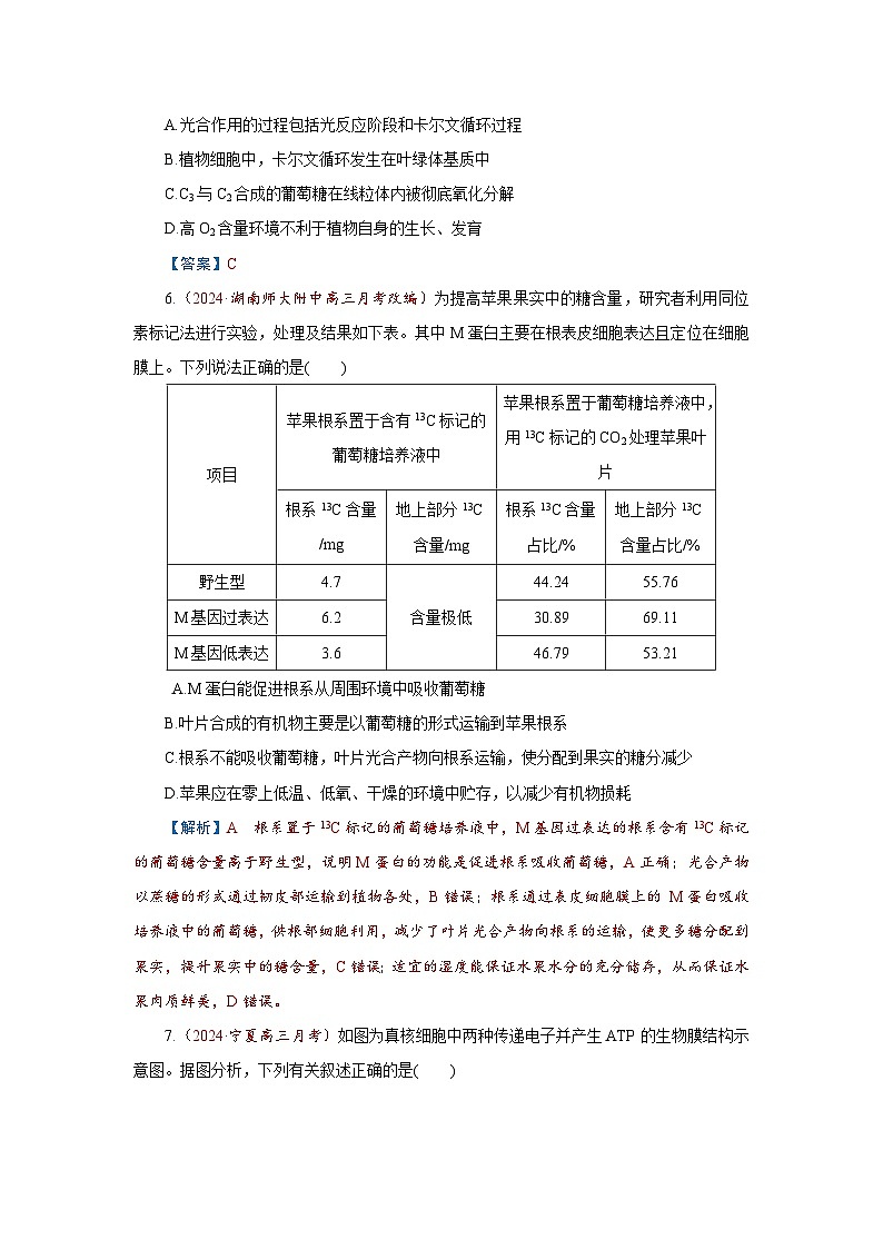2026届高考生物学一轮专题复习练习：专题3 第3讲　捕获光能的色素和结构、光合作用的原理 习题及答案解析第3页