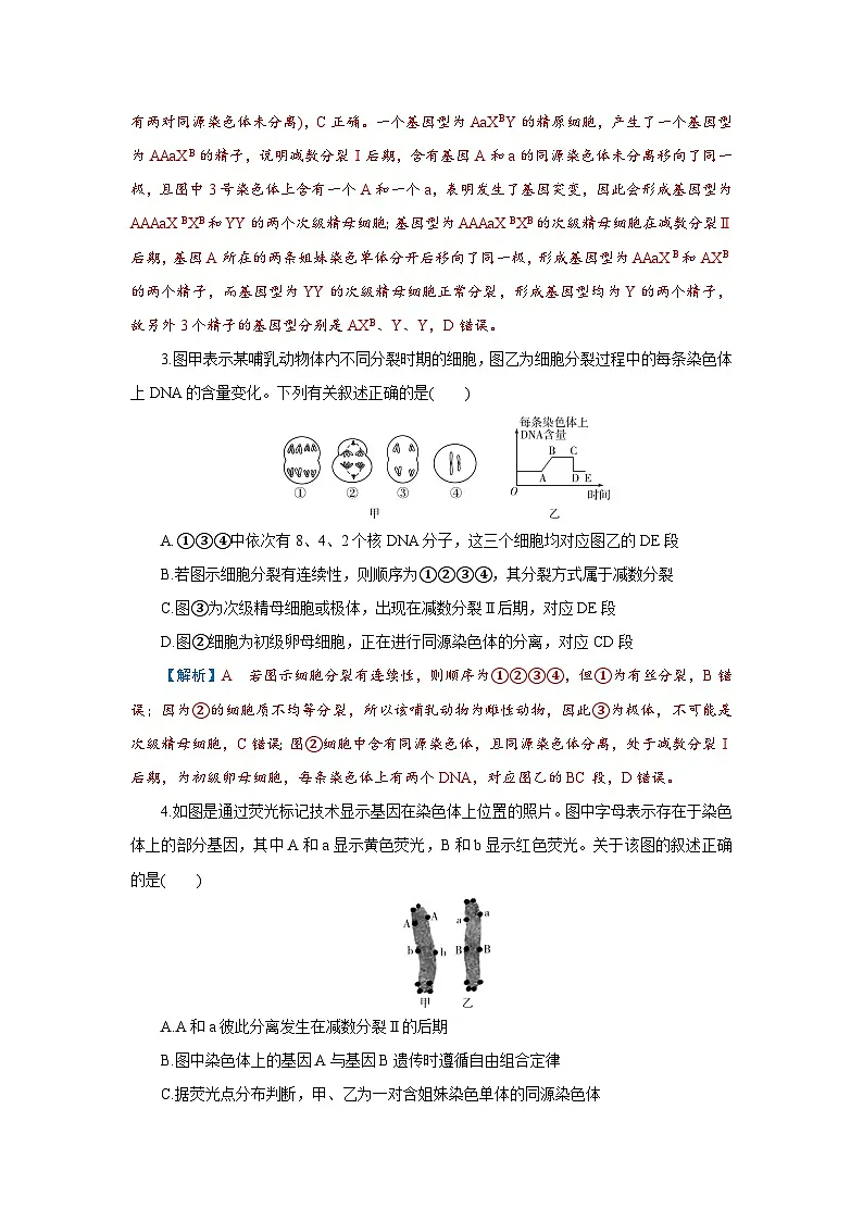 2026届高考生物学一轮专题复习练习：专题4 第2讲　细胞的减数分裂和受精作用 习题及答案解析第2页